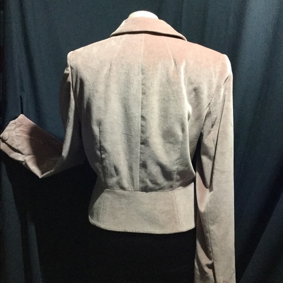 Rose velvet fitted blazer - Picture 3 of 4